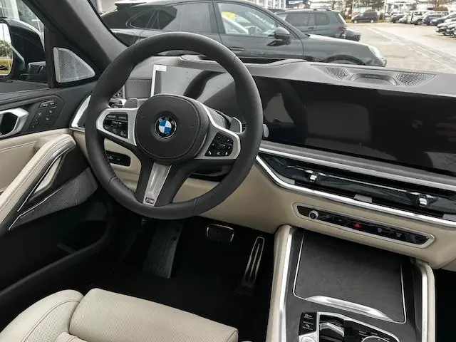 BMW X6 xDrive40d/SEPANG BRONZE/1OF/B&W/FULL-FULL! – 13