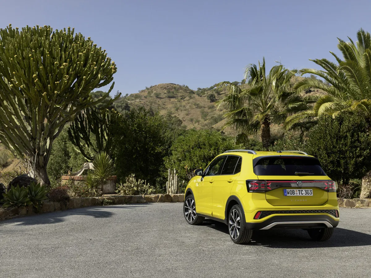 Volkswagen T-Cross from the rear, among palms